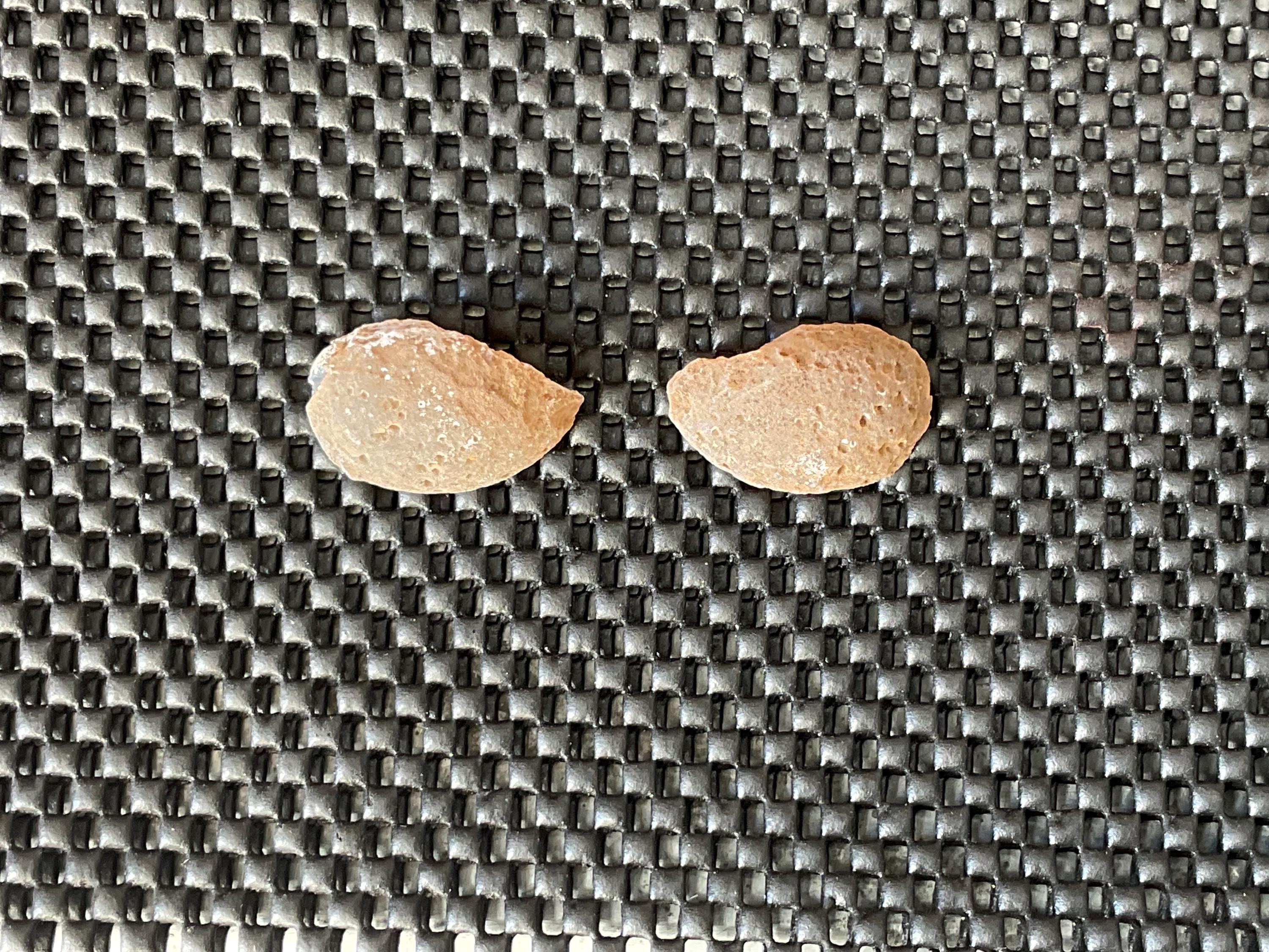 24g Small Brazilian Polished Agate Pair E