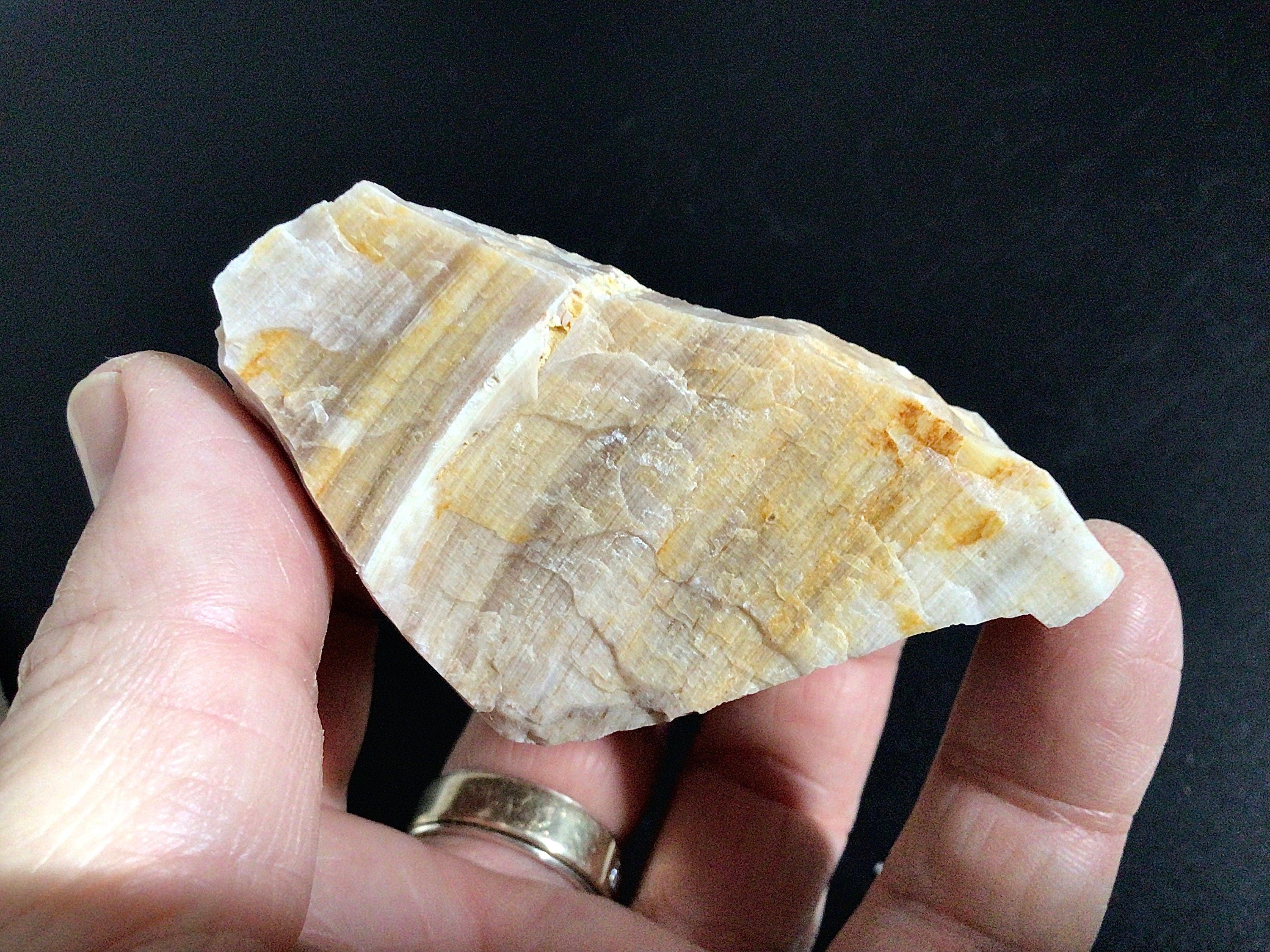 100g Natural Opalised Wood Rough Piece 2B