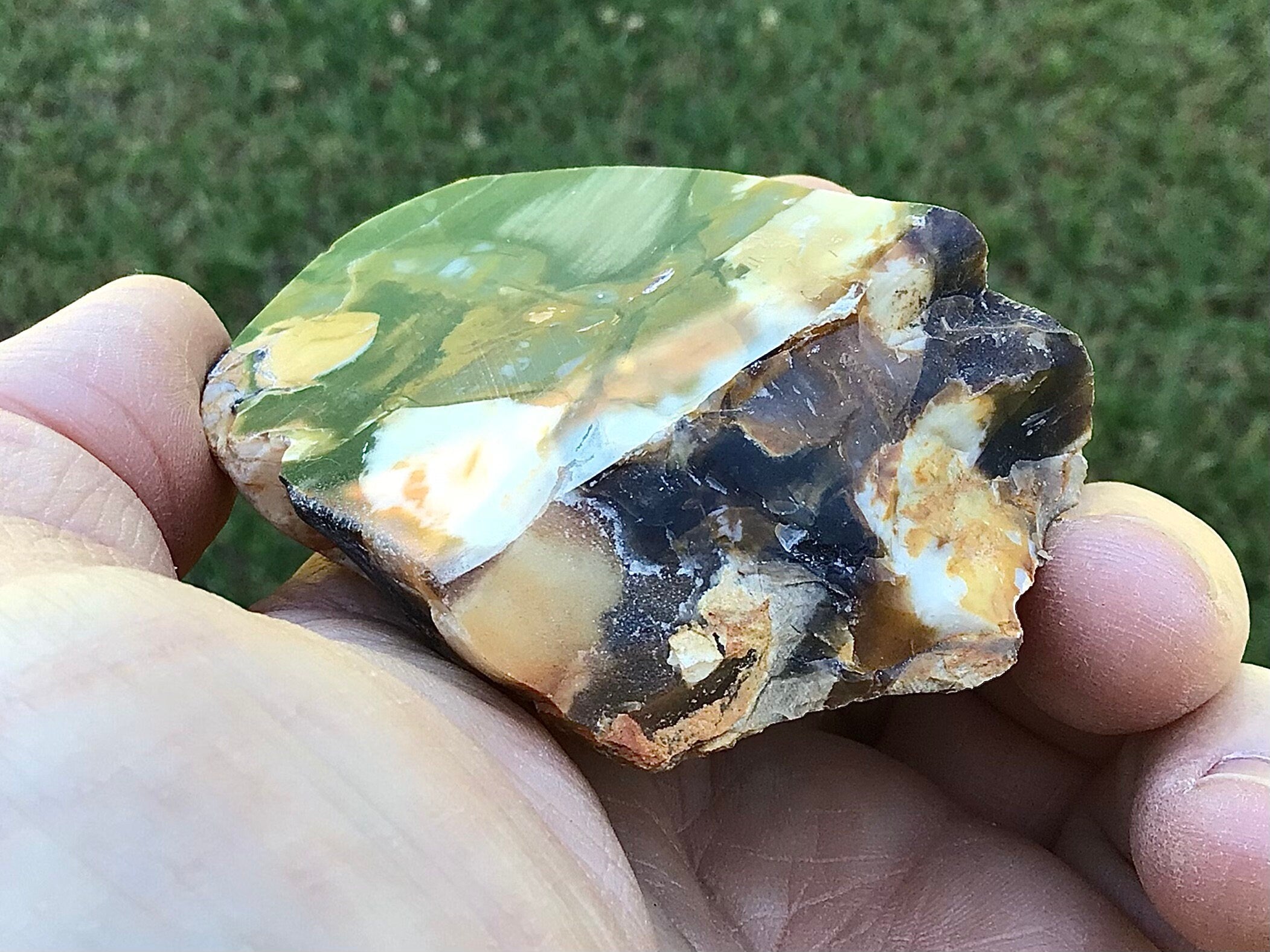 108g Polished Western Australian Peanut Wood Slice 6A