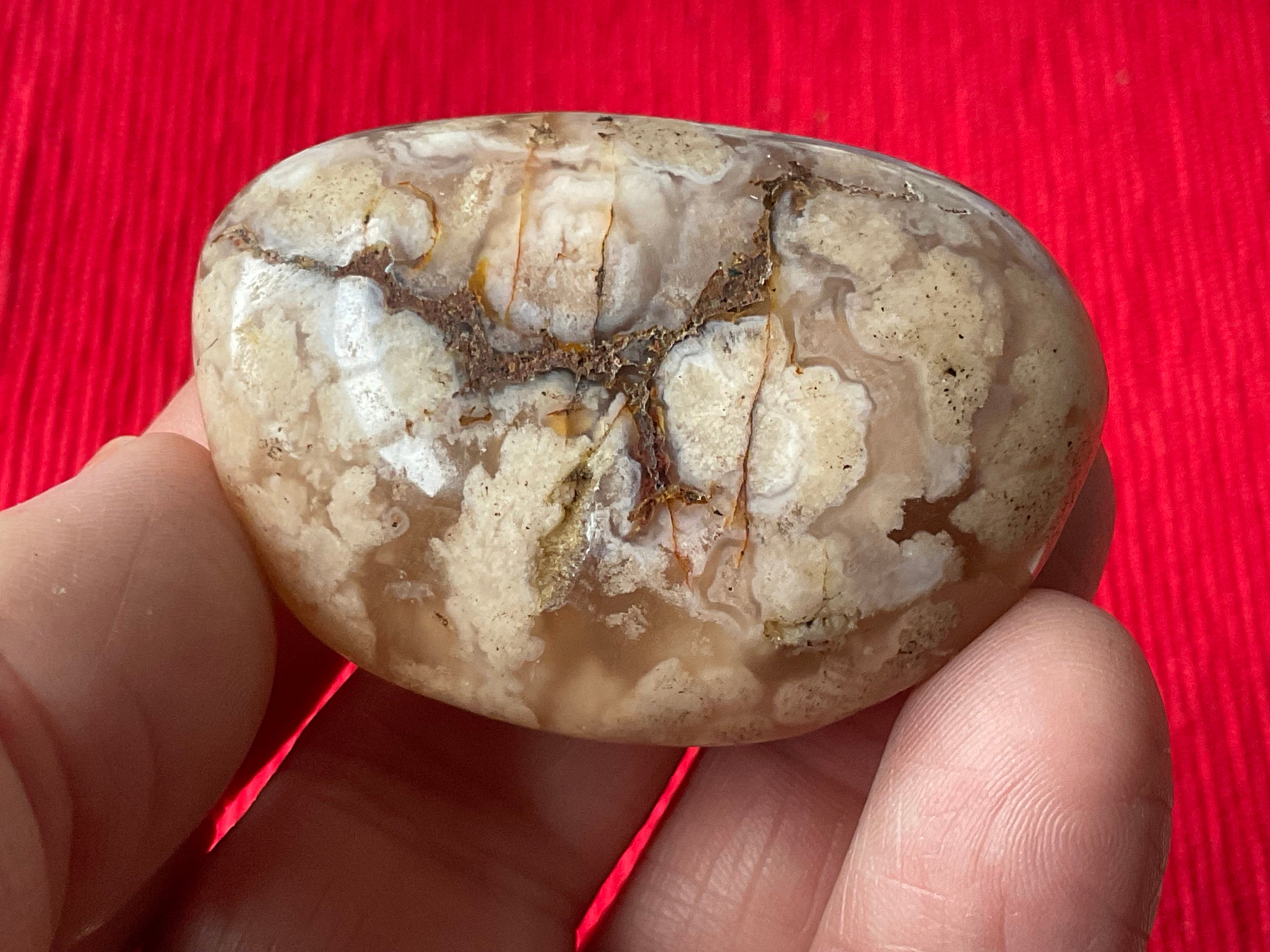 58g Flower Agate Palmstone 7B