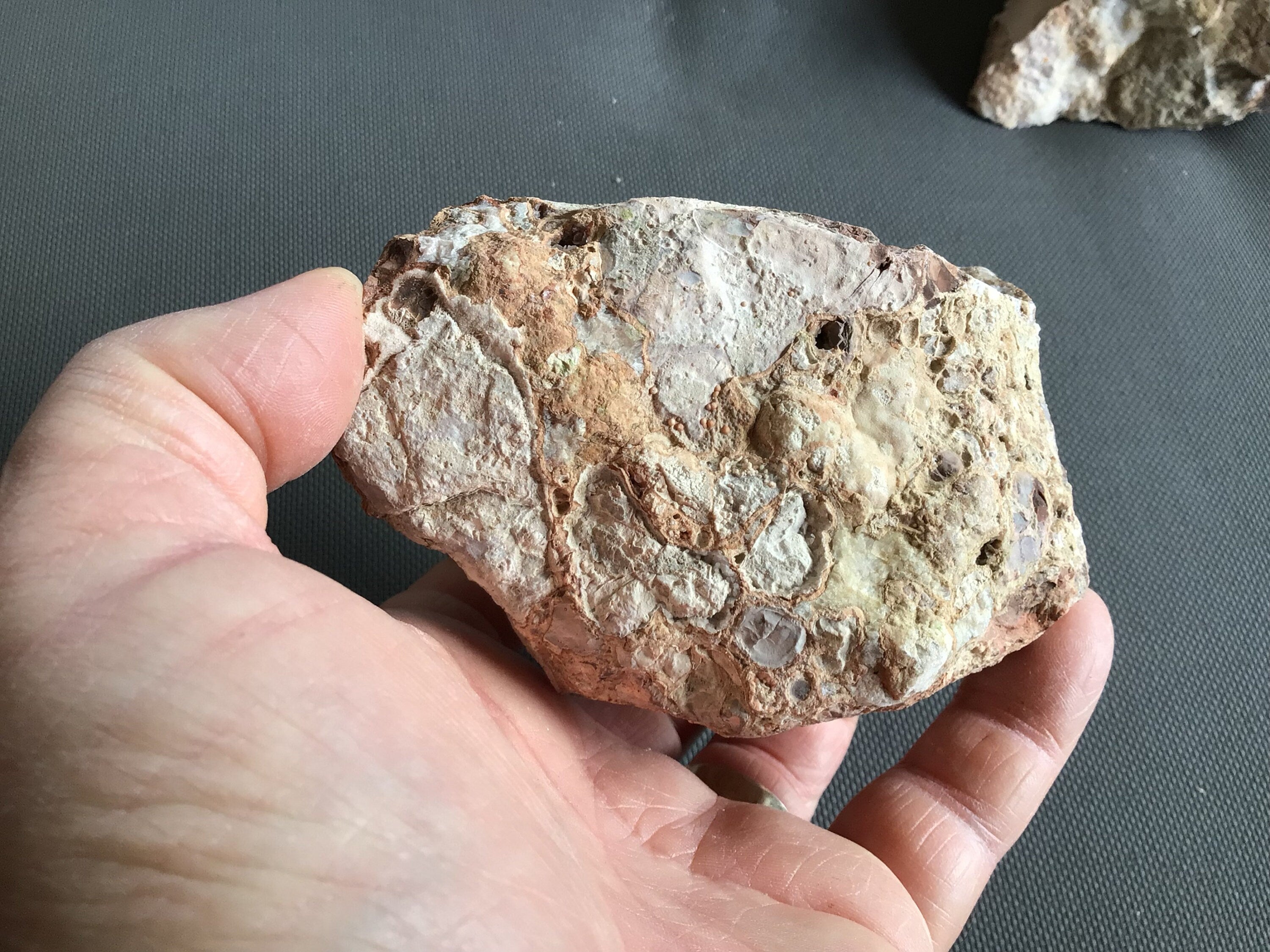 644g King Cobra Rough Piece C