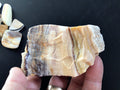 172g Natural Opalised Wood Rough Piece 6C