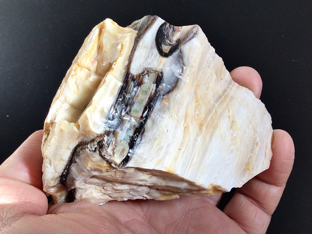 224g Natural Opalised Wood Rough Piece 7C