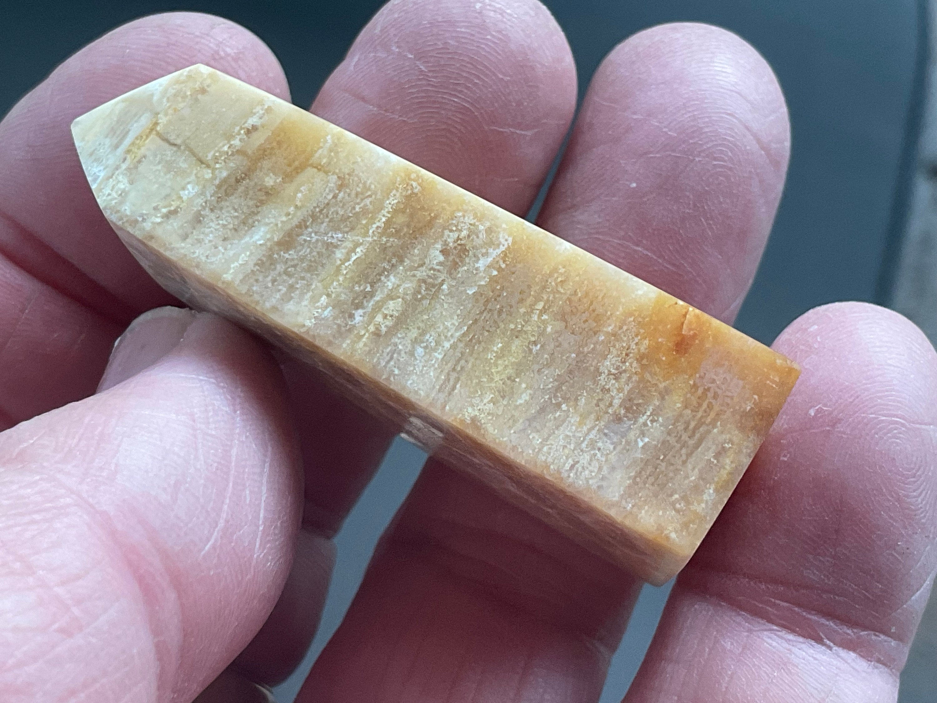 31g Fossilised Coral Generator 2B