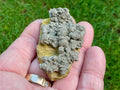 50g Pyrite on Limonite Specimen 1C