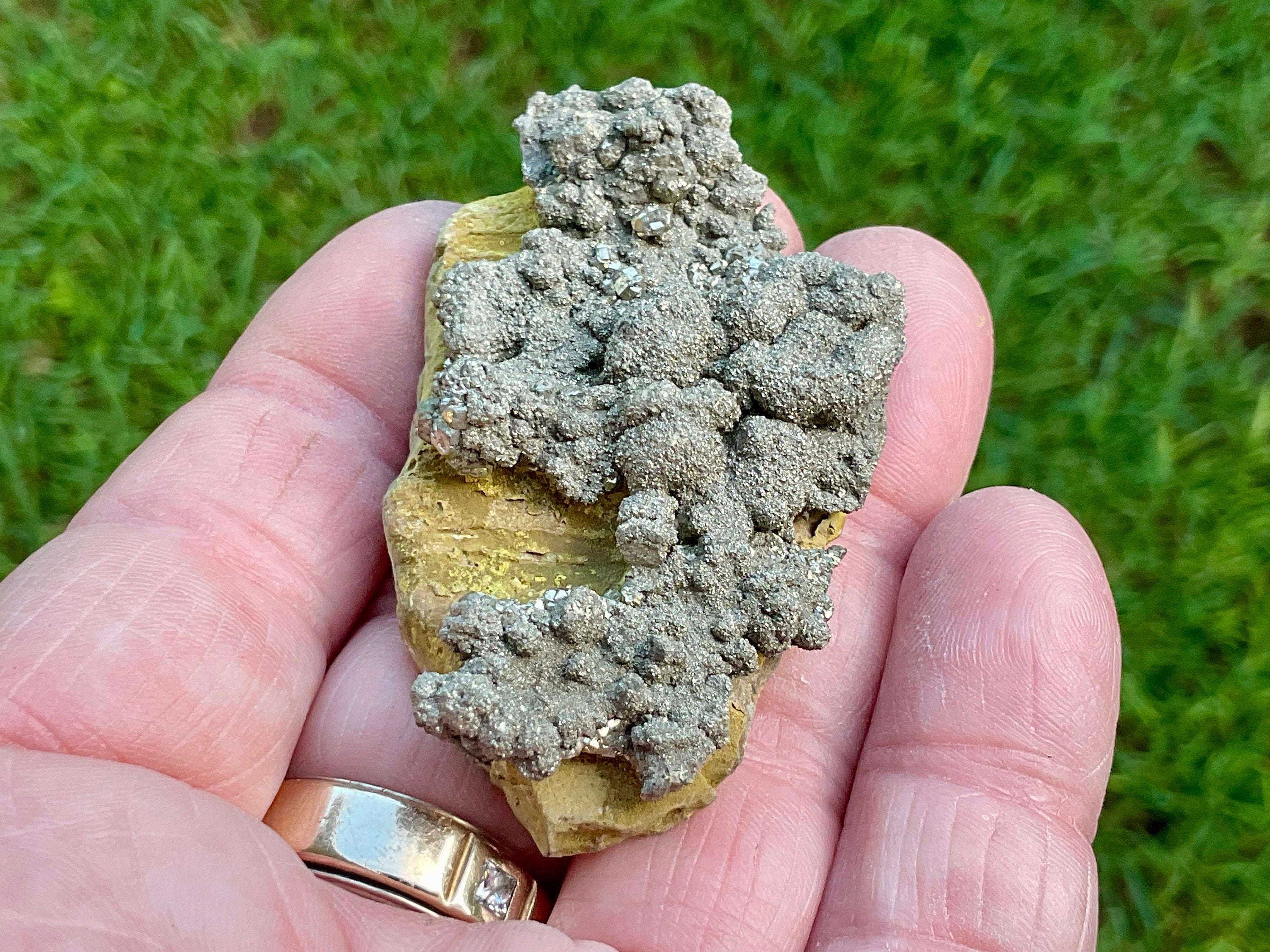 50g Pyrite on Limonite Specimen 1C