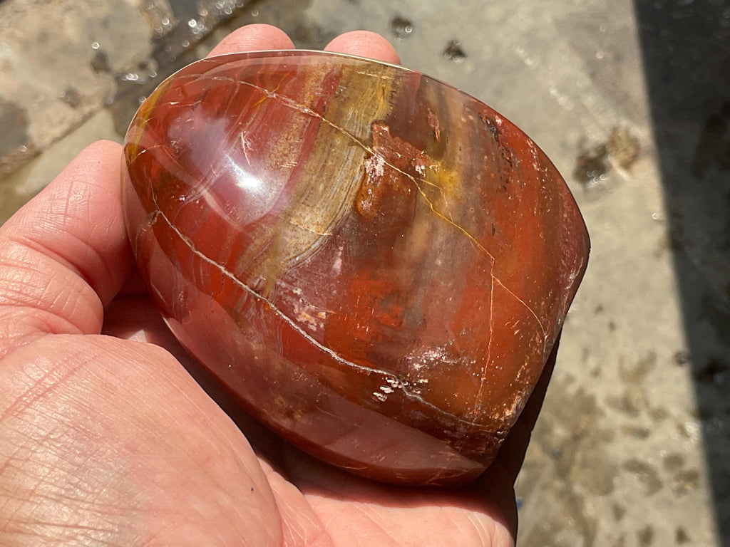 472g Petrified Wood Freeform B from Madagascar