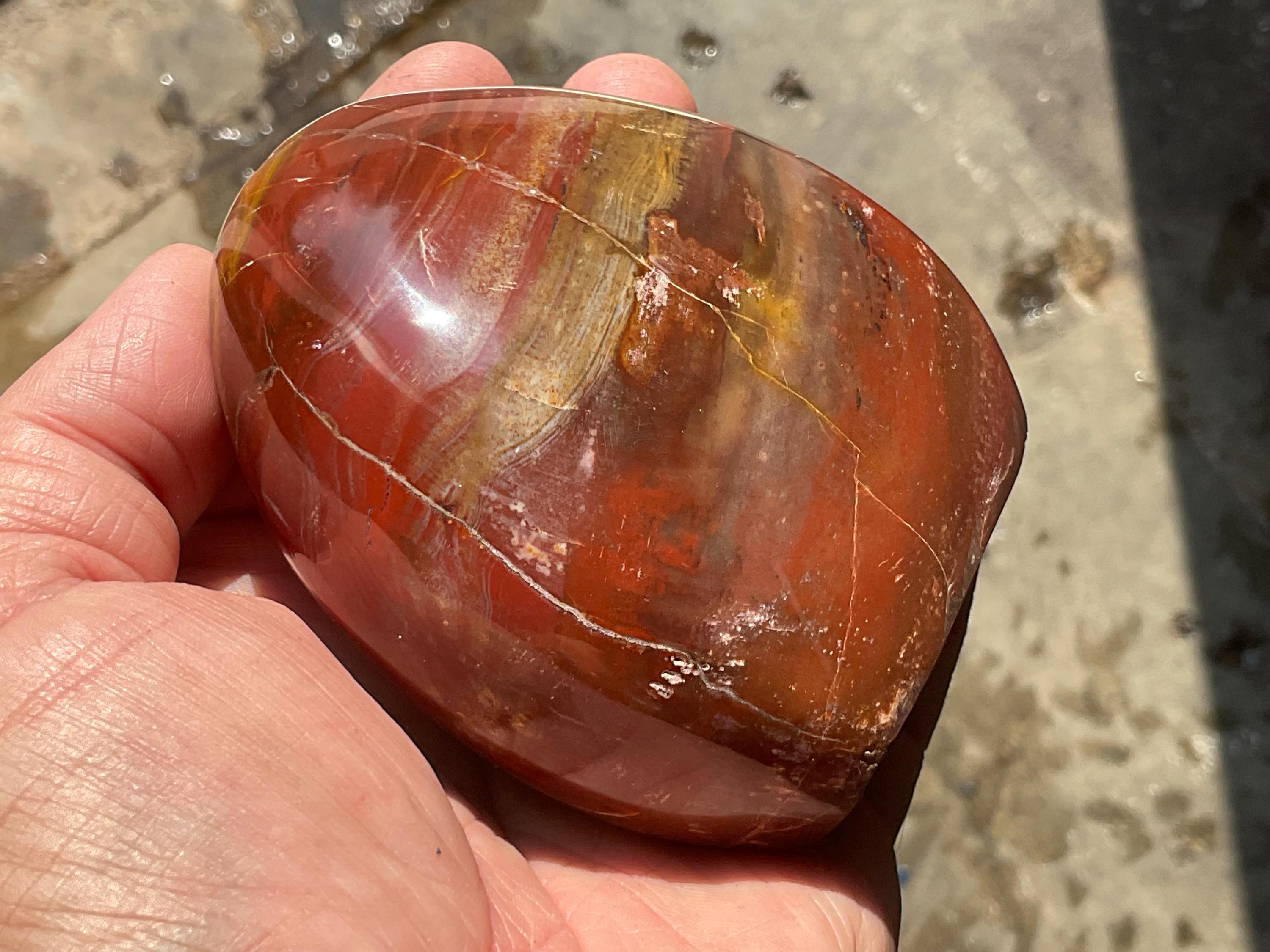 472g Petrified Wood Freeform B from Madagascar