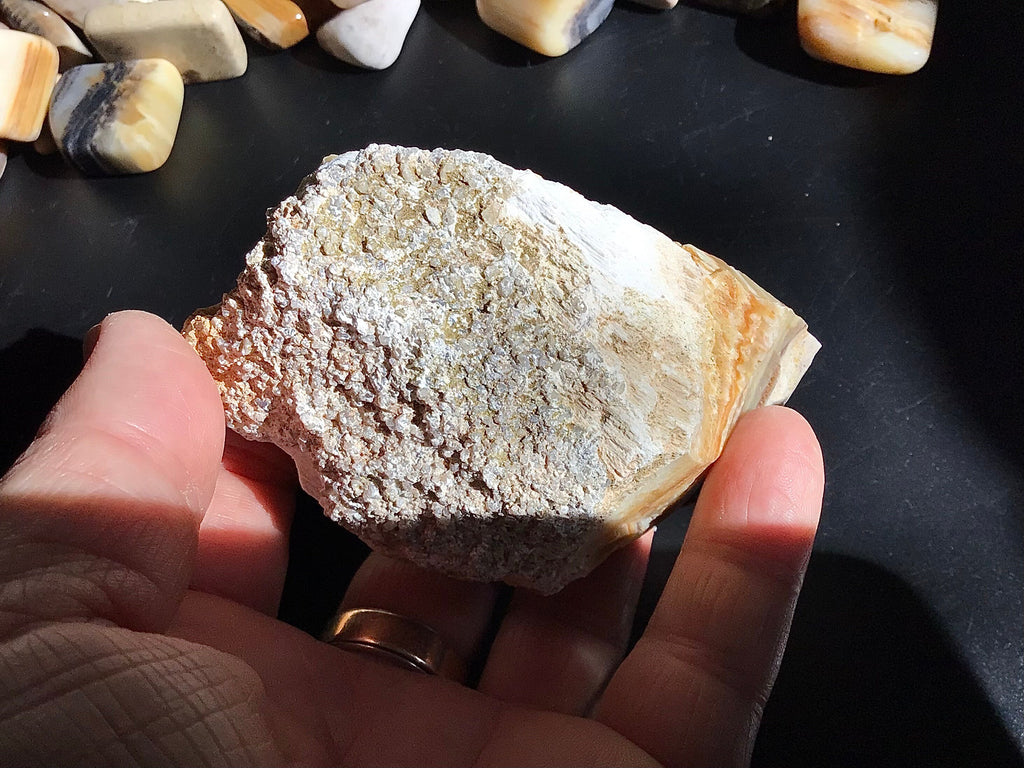 161g Natural Opalised Wood Rough Piece 6B