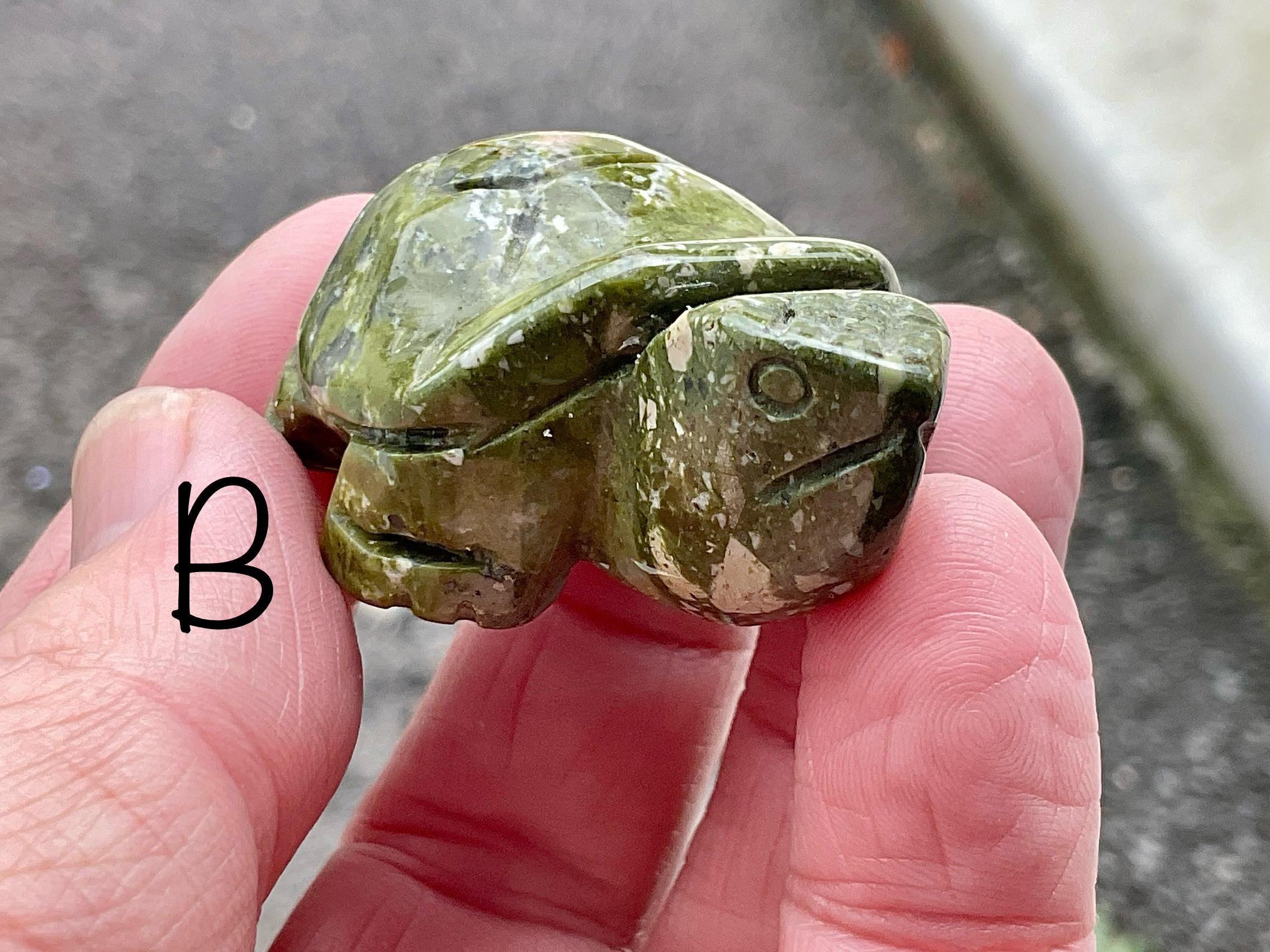 Unakite Small Carved Turtle Group 2