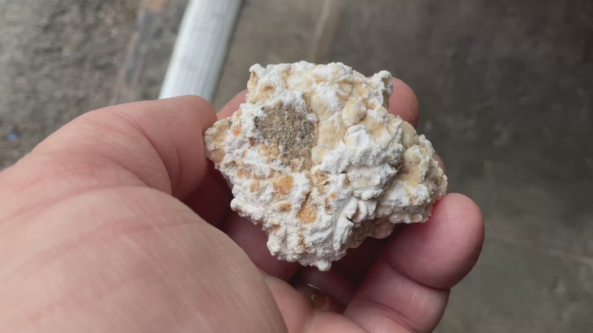 48g “Popcorn Selenite” Specimen 2A