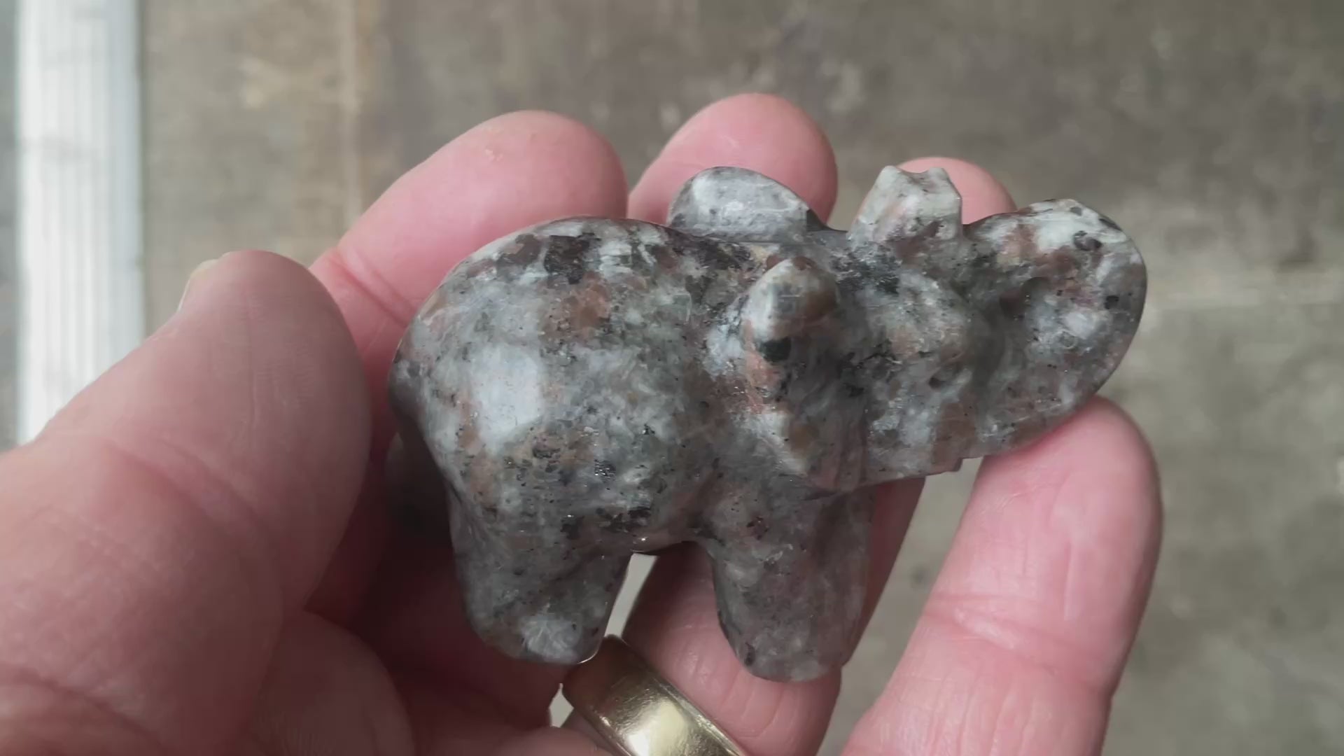 70g Syenite with Sodalite (Yooperlite) Elephant Carving A