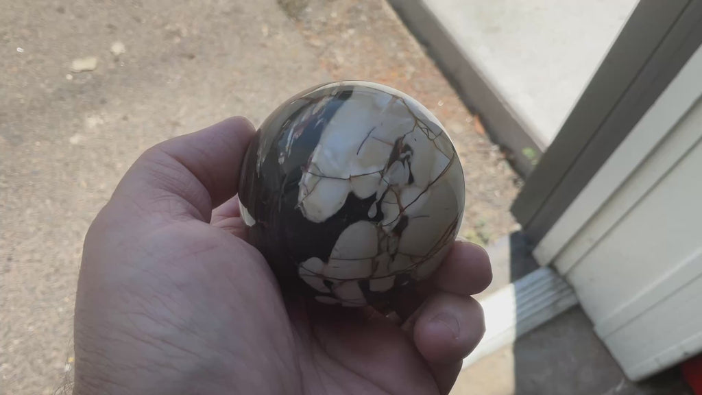 334g Western Australian “Peanut Wood” Sphere 4B