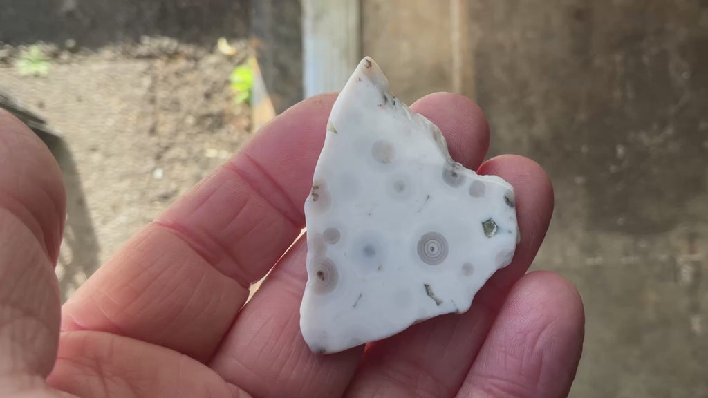 12g 8th Vein Ocean Jasper Polished Piece 2A