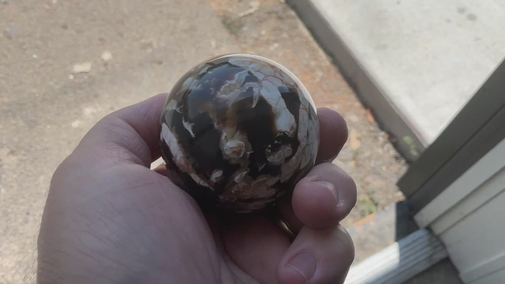 222g Western Australian “Peanut Wood” Sphere 2A