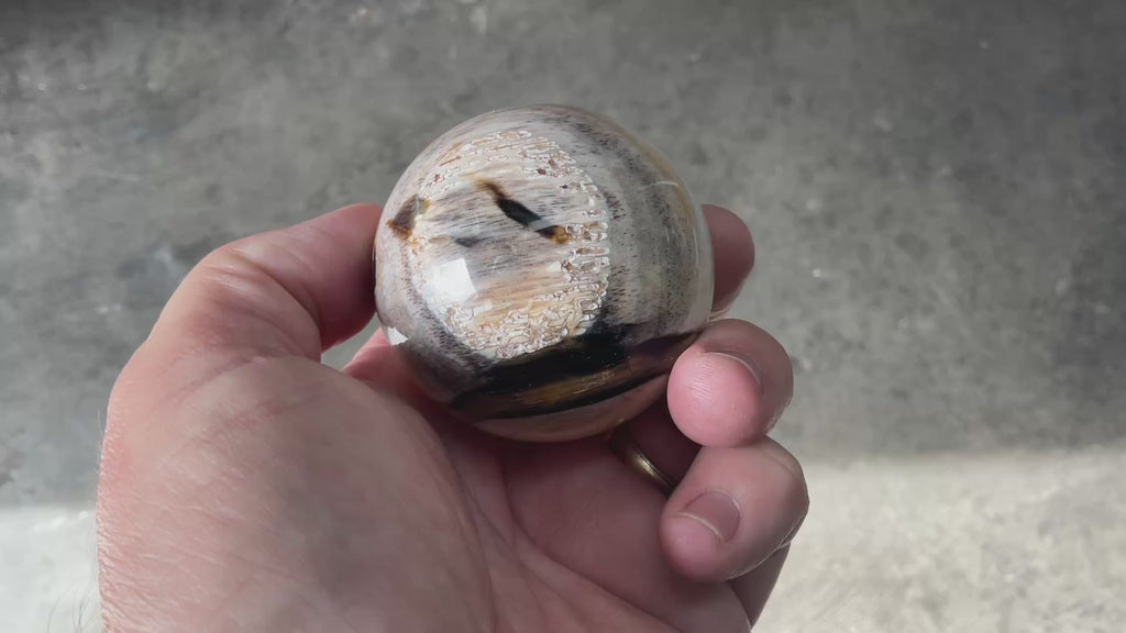 190g (5.5cm diameter) Opalised/Agatised Wood  Sphere 1A from Springsure