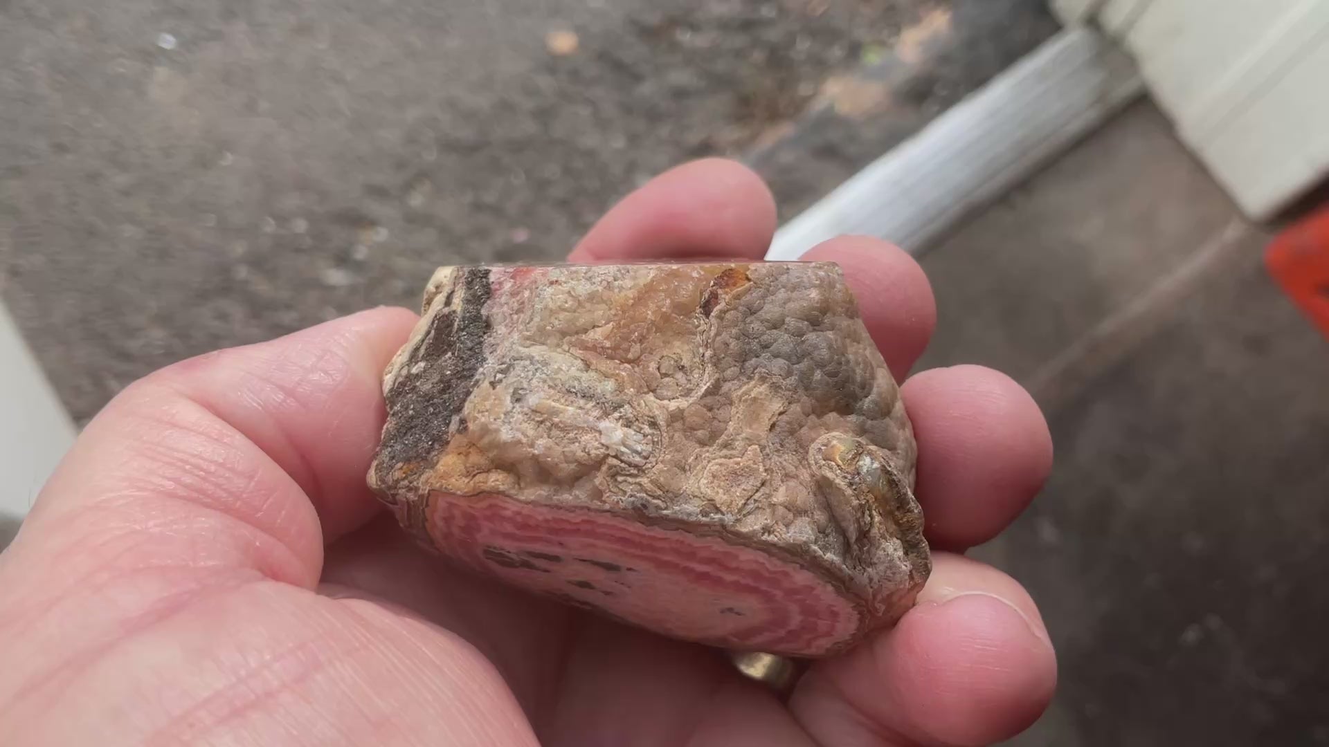 176g Rhodochrosite Stalactite Polished Specimen B