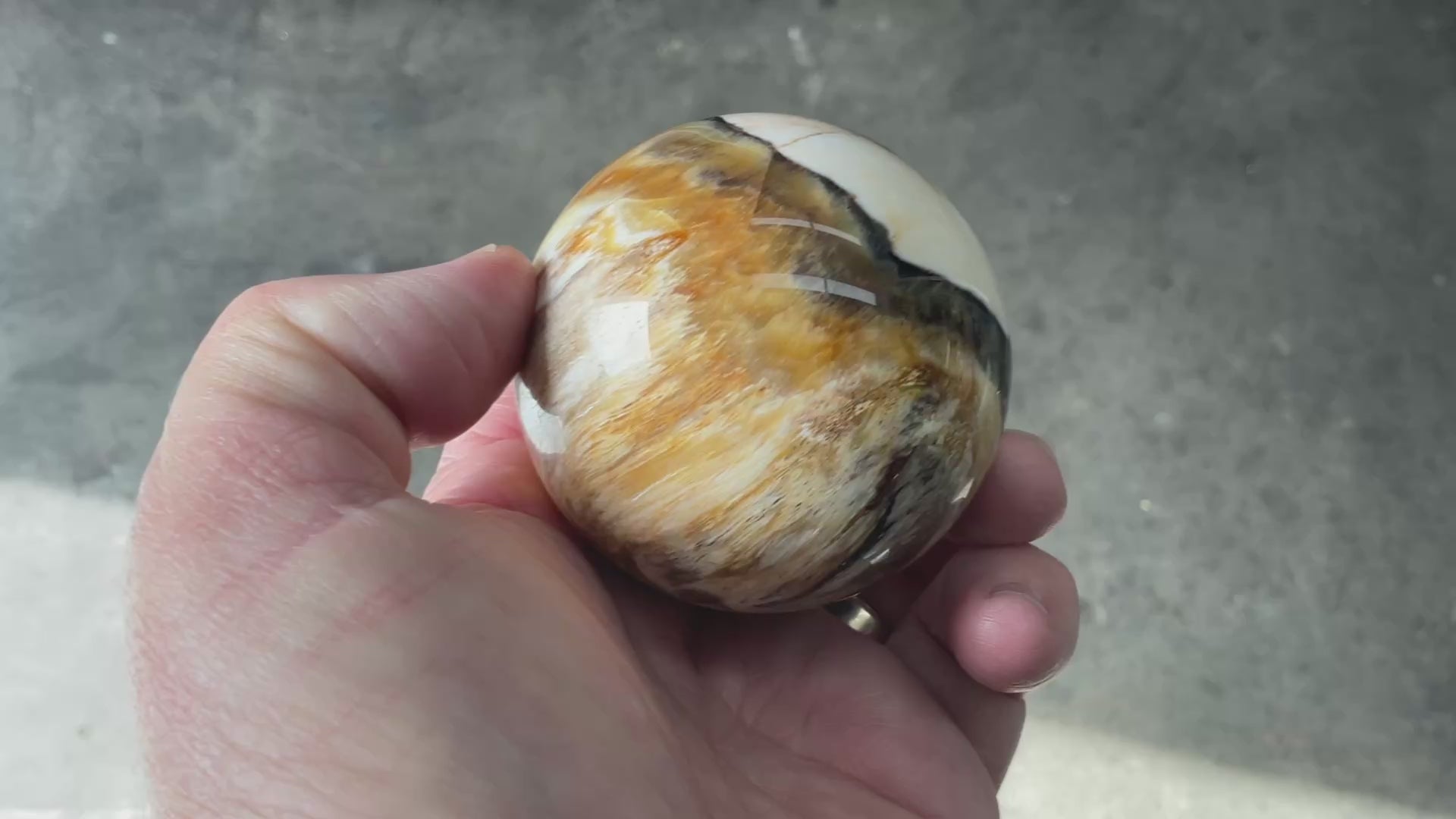 234g (6cm diameter) Opalised/Agatised Wood Sphere 1C from Springsure