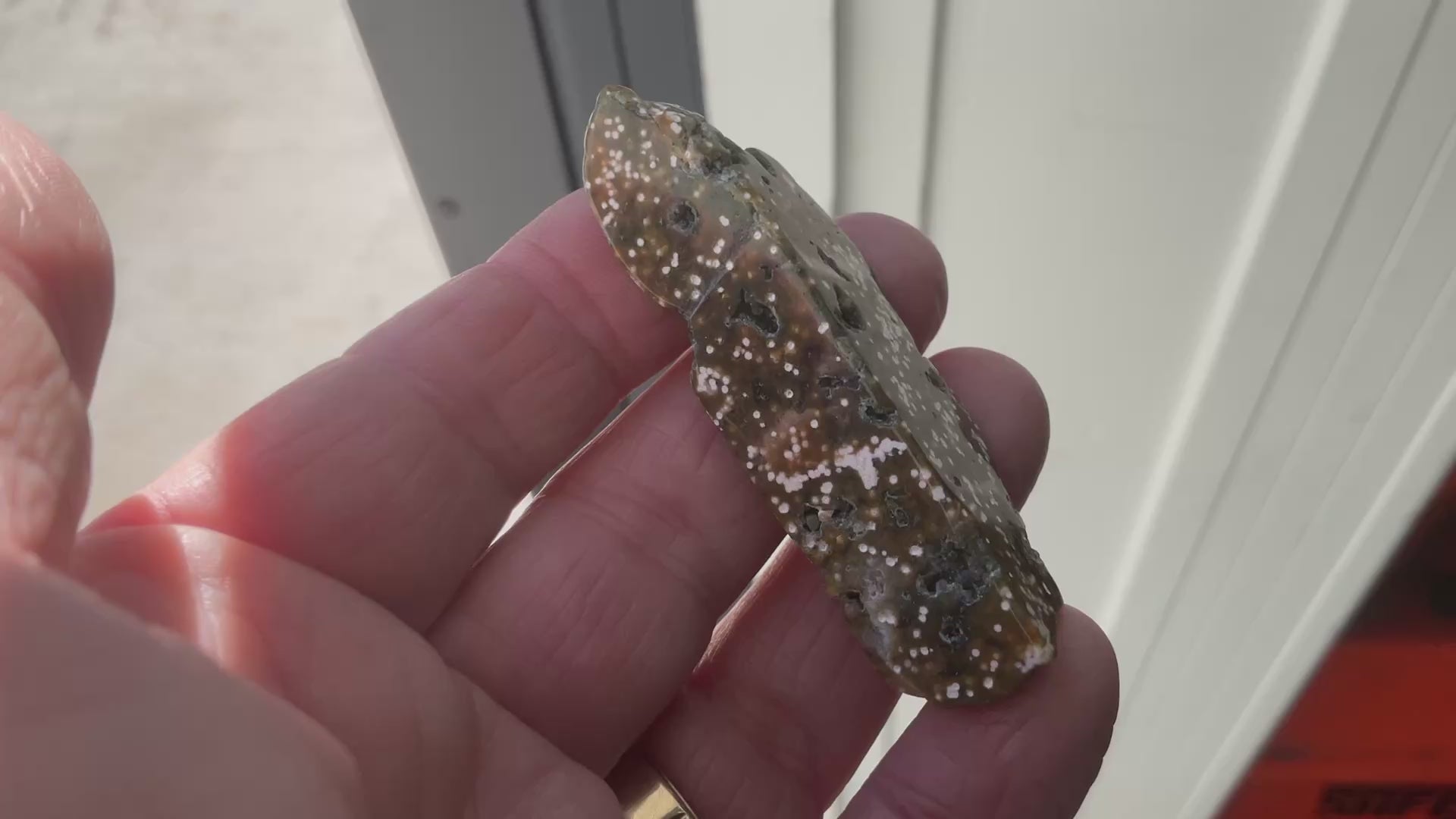 20g 8th Vein Ocean Jasper Polished Piece 3A