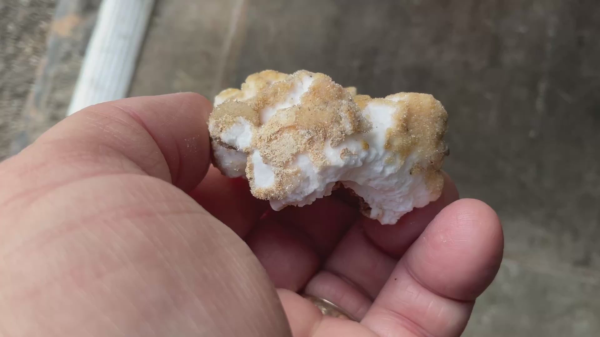 52g “Popcorn Selenite” Specimen 4A