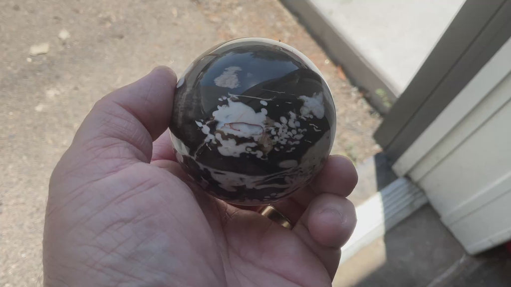 308g Western Australian “Peanut Wood” Sphere 3C