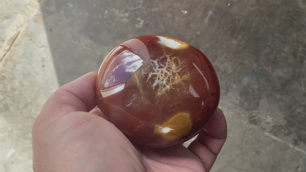344g Carnelian Orca Freeform 8B