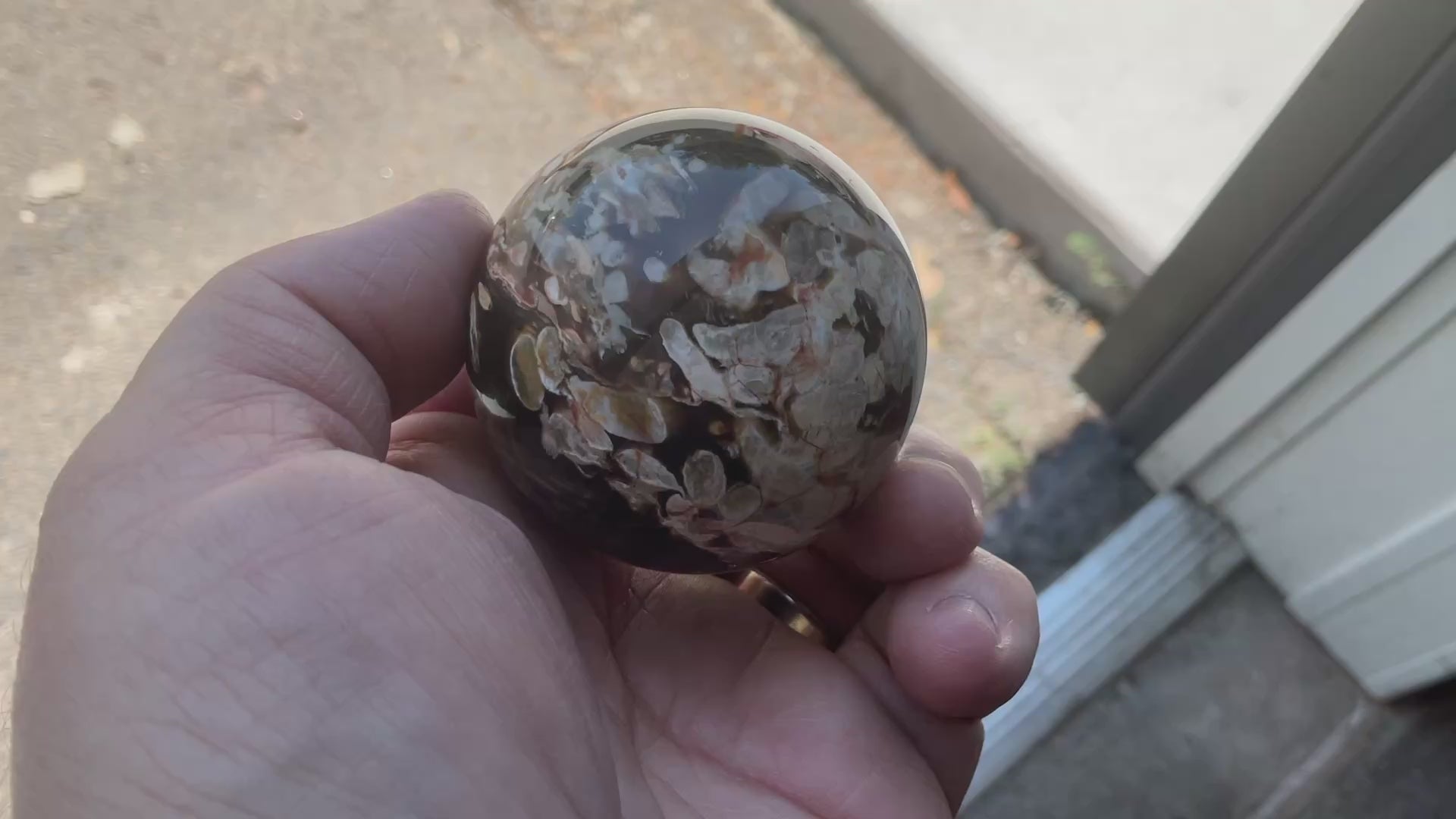 178gWestern Australian “Peanut Wood” Sphere 1A