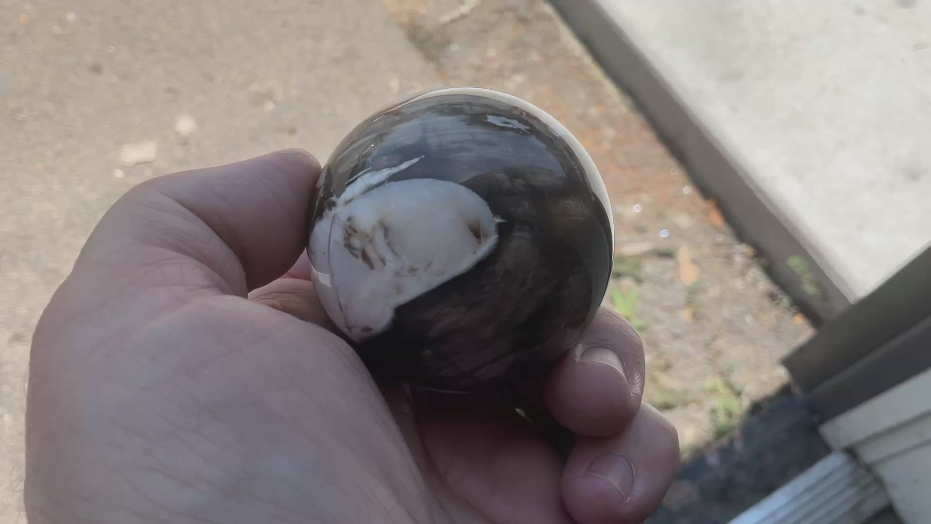 192g Western Australian “Peanut Wood” Sphere 1B