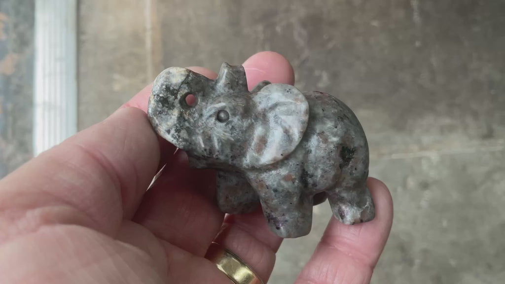 76g Syenite with Sodalite (Yooperlite) Elephant Carving C