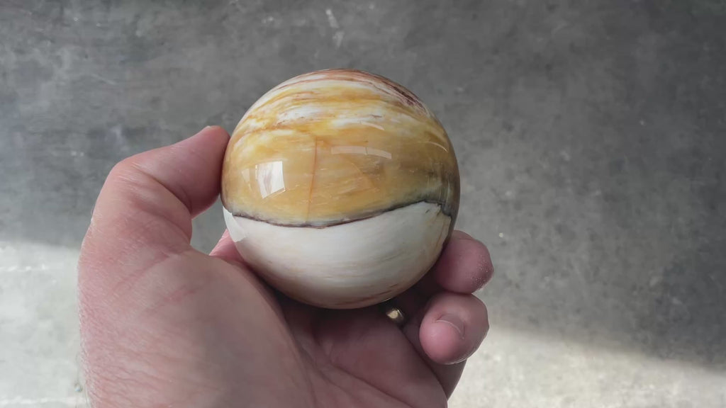 308g (6.5cm diameter) Opalised/Agatised Wood Sphere 2B from Springsure