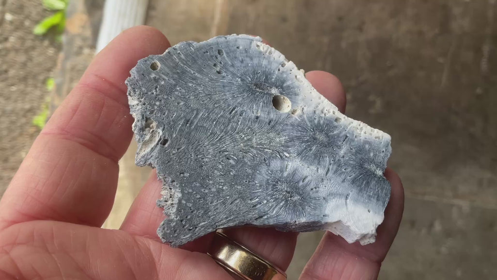 36g Natural Blue Fossilised Coral Slab 5B