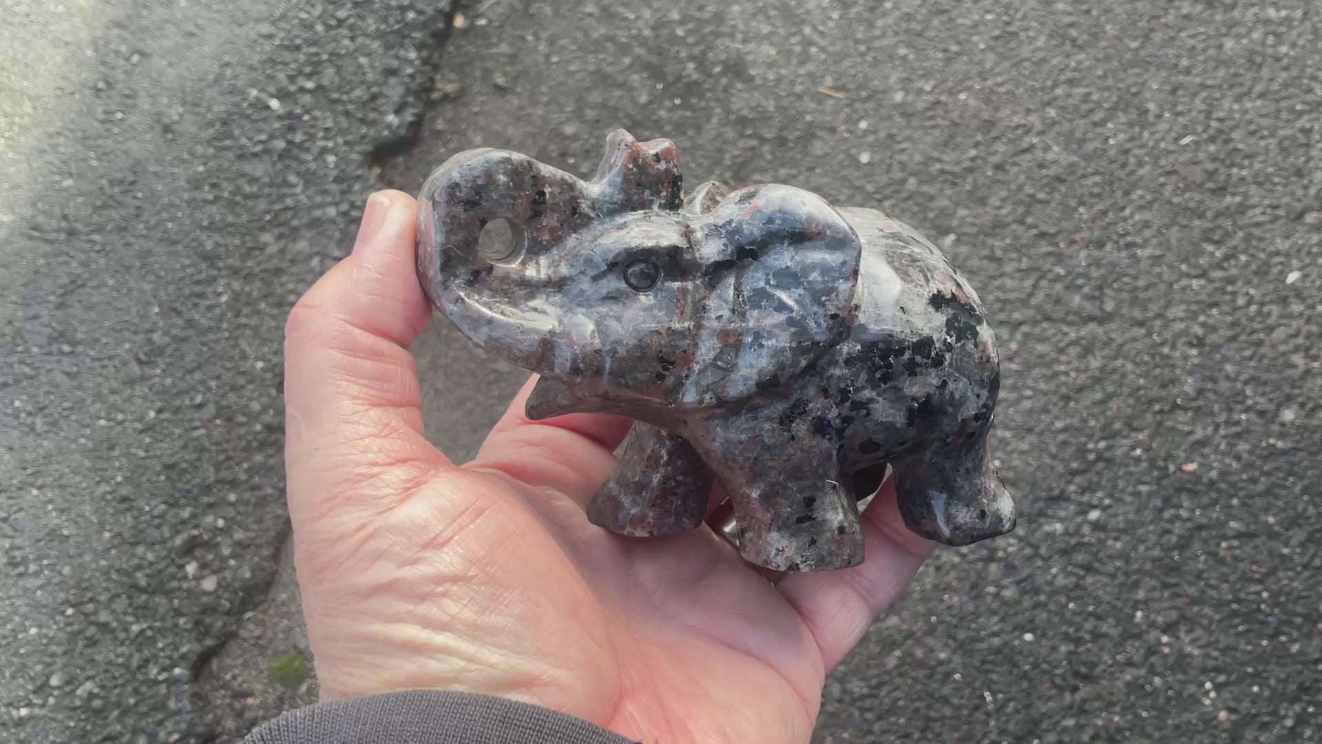 518g Syenite with Sodalite ‘Yooperlite’ Large Elephant Carving B