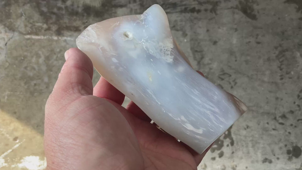 448g Myanmar Petrified/Opalised Wood Freeform
