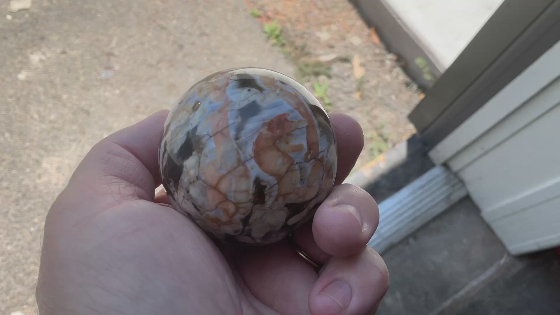 216g Western Australian “Peanut Wood” Sphere 1C