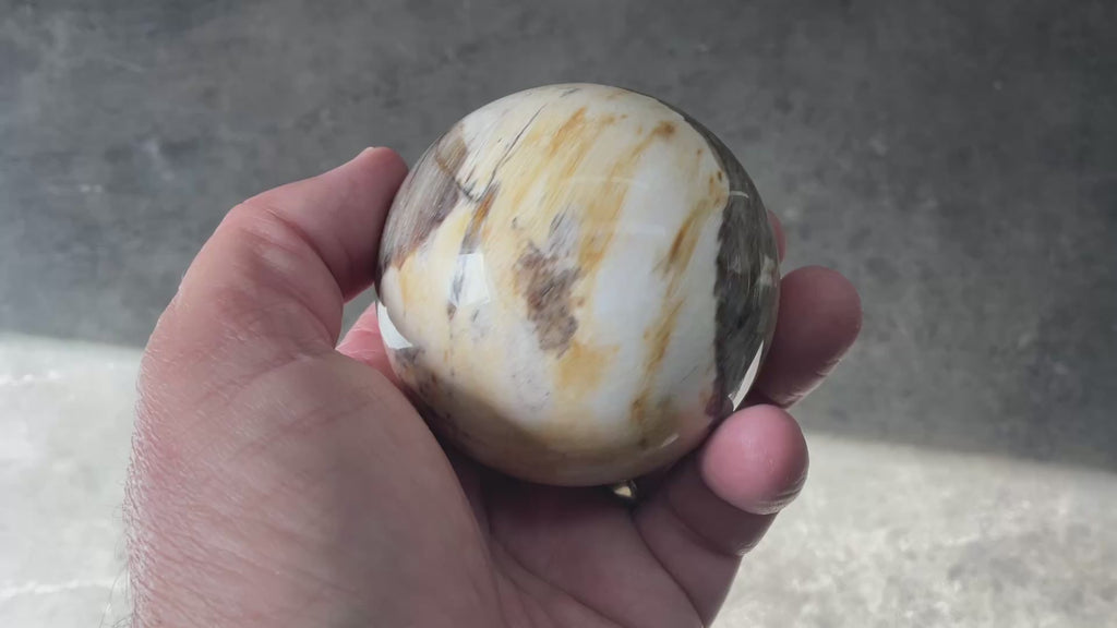 288g (6.5cm diameter) Opalised/Agatised Wood Sphere 2A from Springsure