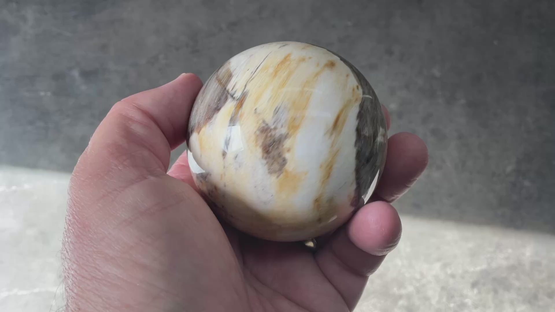288g (6.5cm diameter) Opalised/Agatised Wood Sphere 2A from Springsure