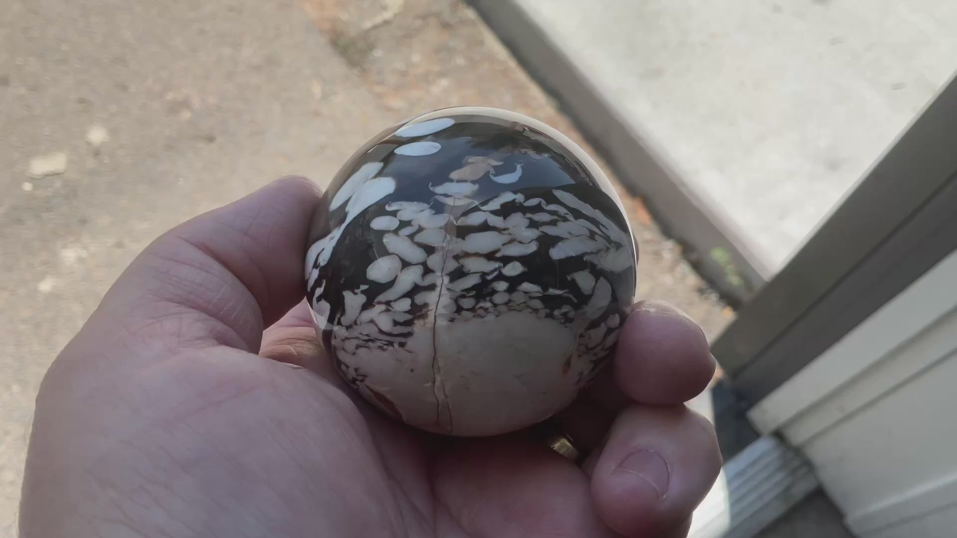 252g Western Australian “Peanut Wood” Sphere 2B