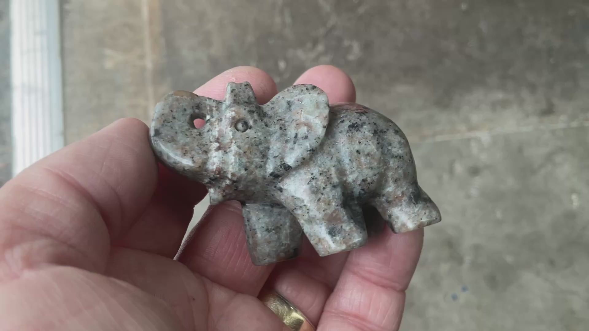 76g Syenite with Sodalite (Yooperlite) Elephant Carving B