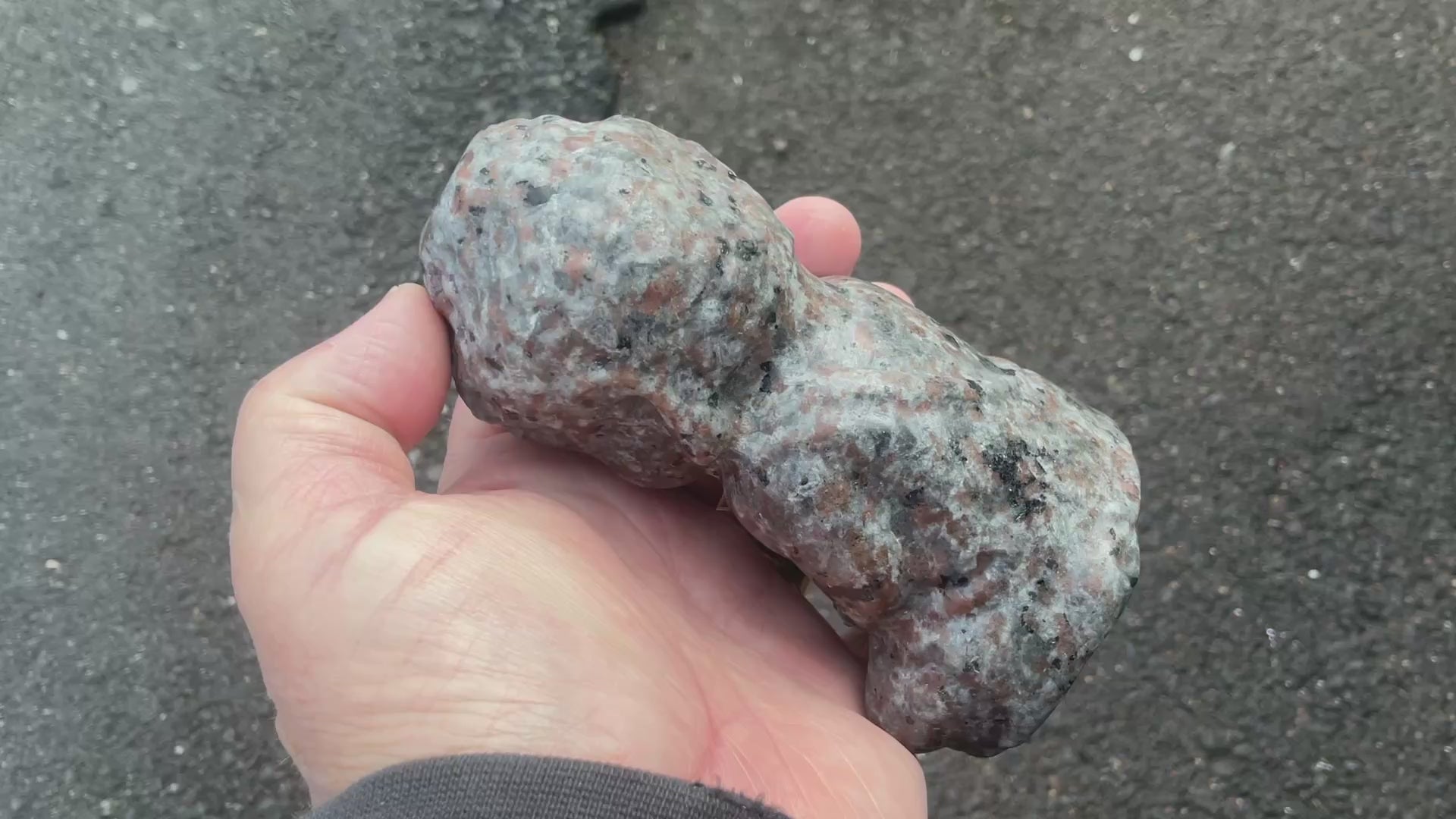 608g Syenite with Sodalite (Yooperlite) Buddha Carving B