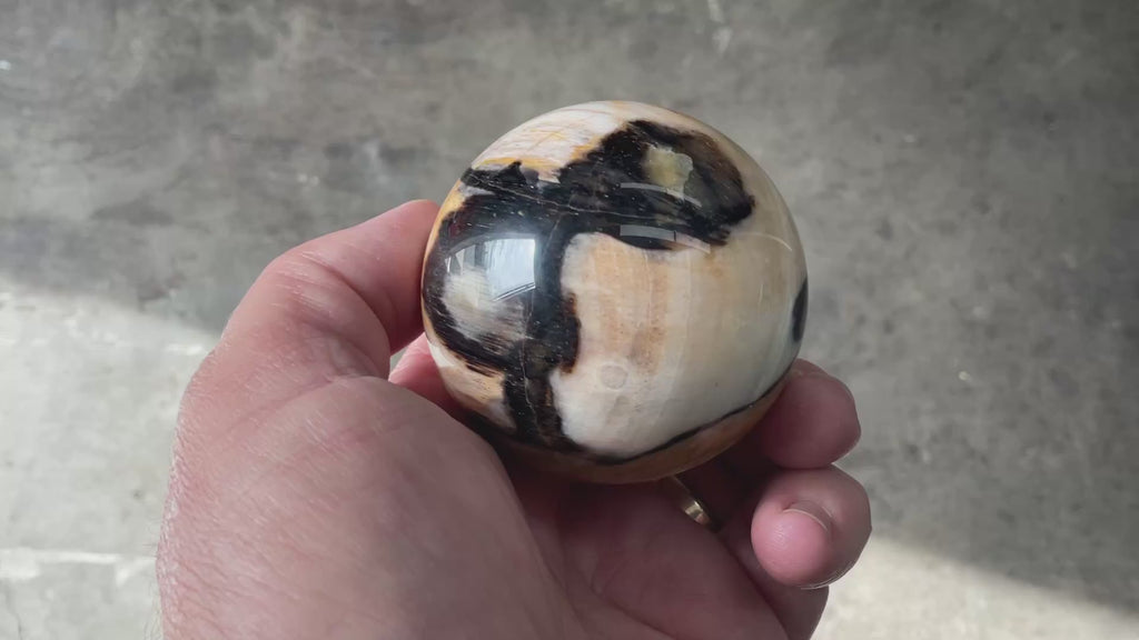 226g (6cm diameter) Opalized/Agatised Wood Sphere 1B from Springsure