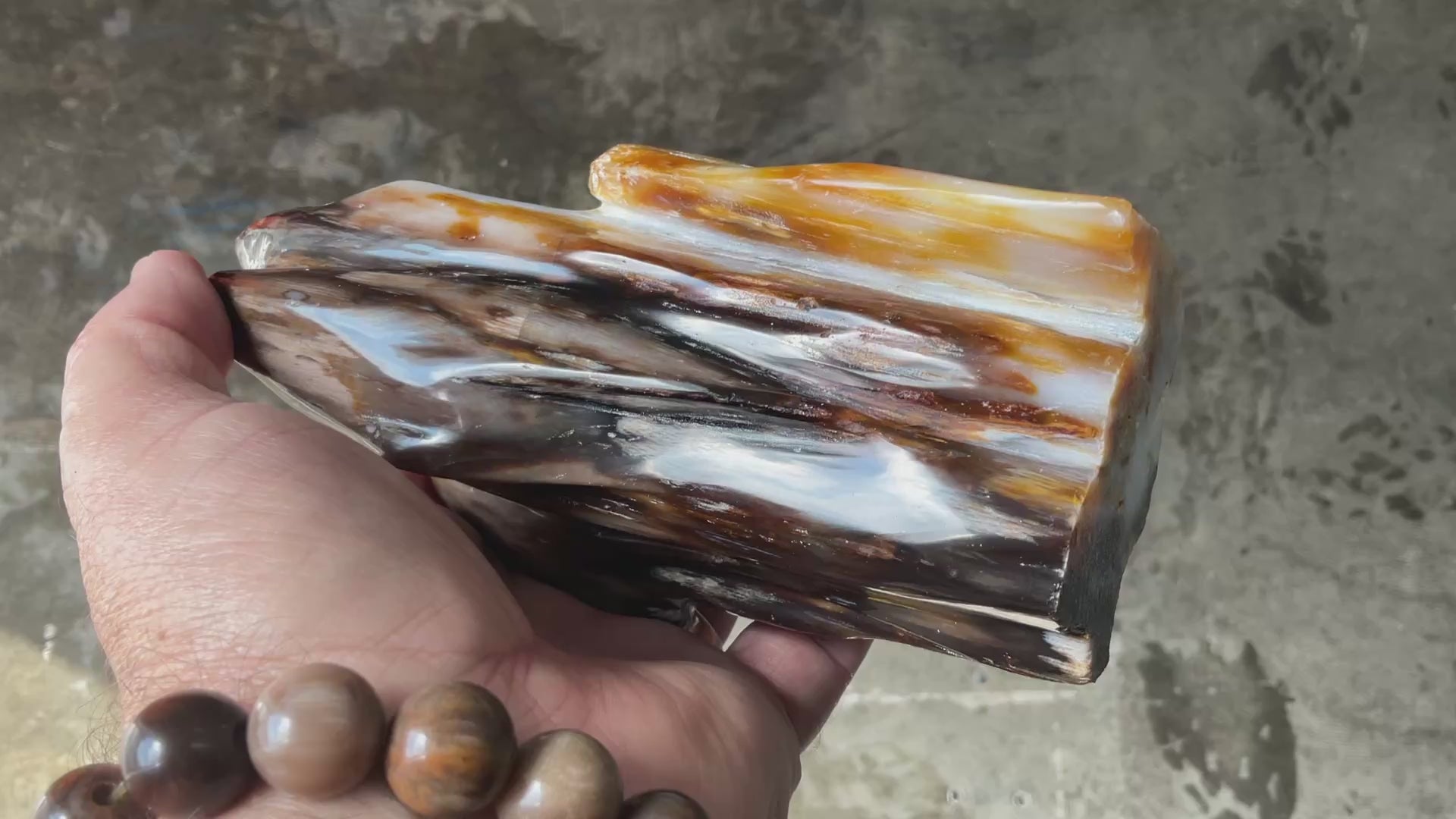 904g Myanmar Petrified/Opalised Wood Freeform