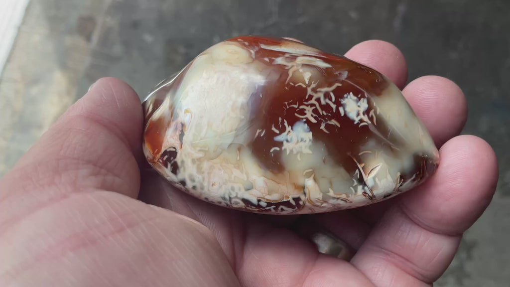 132g Carnelian Orca Agate Palmstone 4C