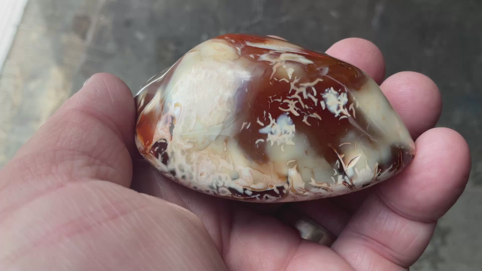 132g Carnelian Orca Agate Palmstone 4C