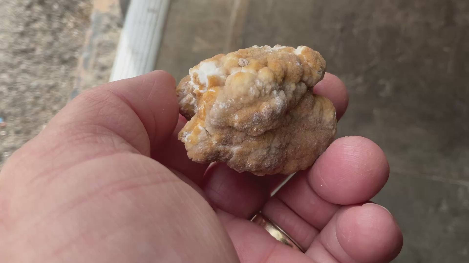 68g “Popcorn Selenite” Specimen 5A