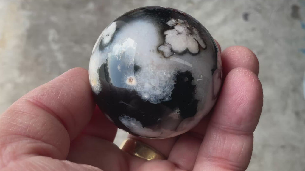 156g Black Flower Agate Sphere 3A