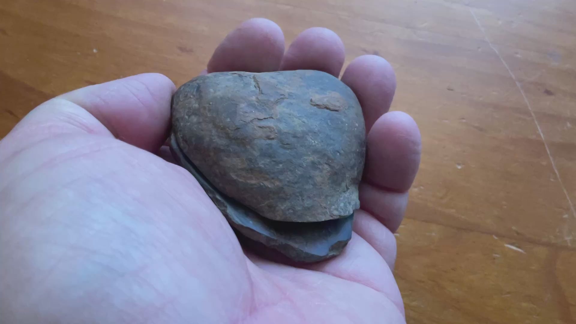 149g Moroccan Septarian Nodule (complete) 5C