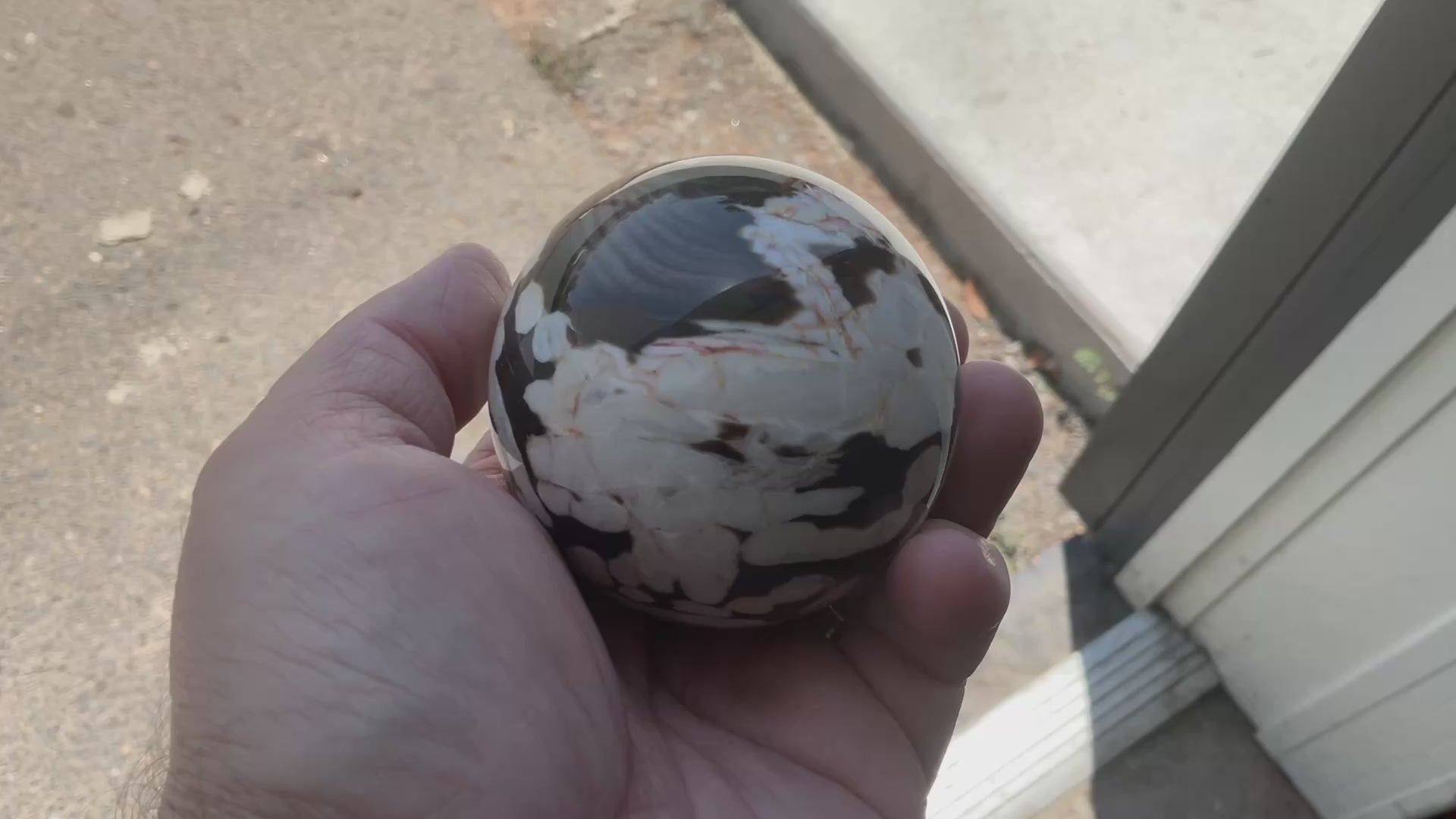 350g Western Australian “Peanut Wood” Sphere 5A