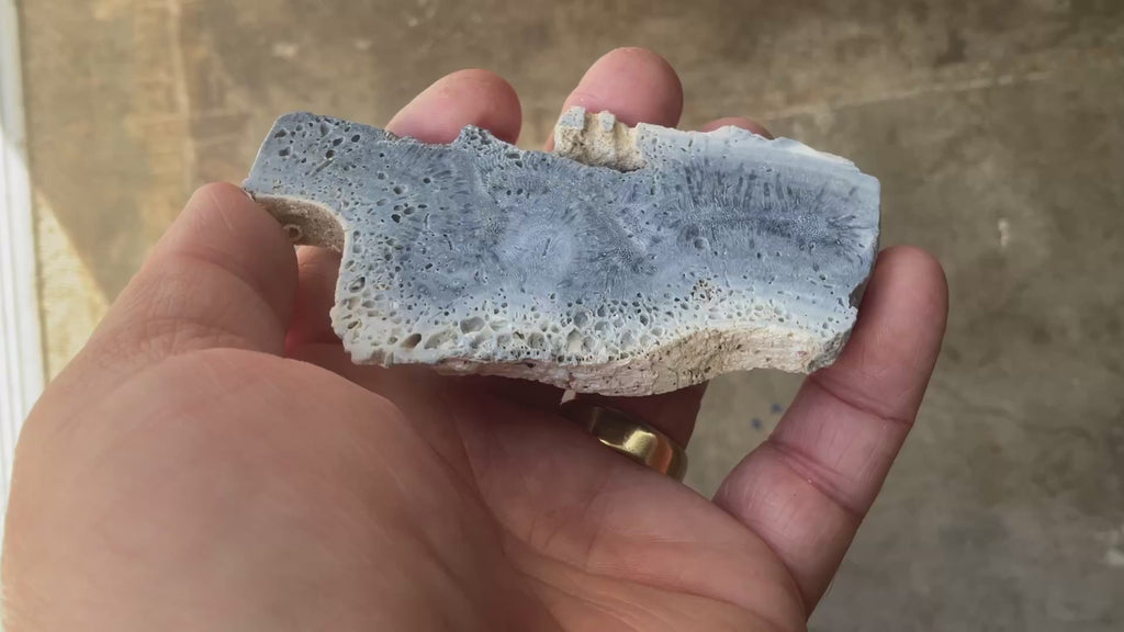 58g Natural Blue Coral Fossil Slab 3A