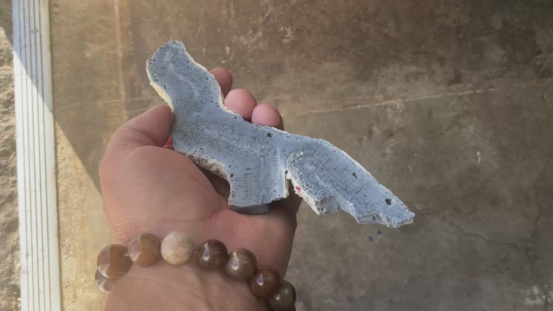 110g Natural Blue Coral Fossil Slab 4C