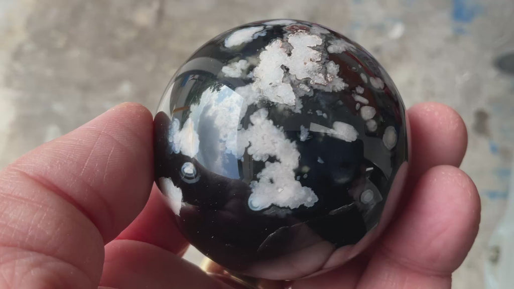 226g Black Flower Agate Sphere 4C